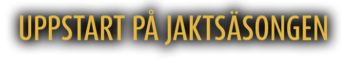 Gul rubrik banner augusti 2025 Gul rubrik banner augusti 2025