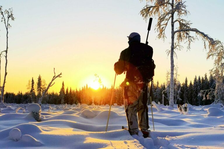 Jaguargruppen_IMG_20240108_152728_140-scaled-2229×1114