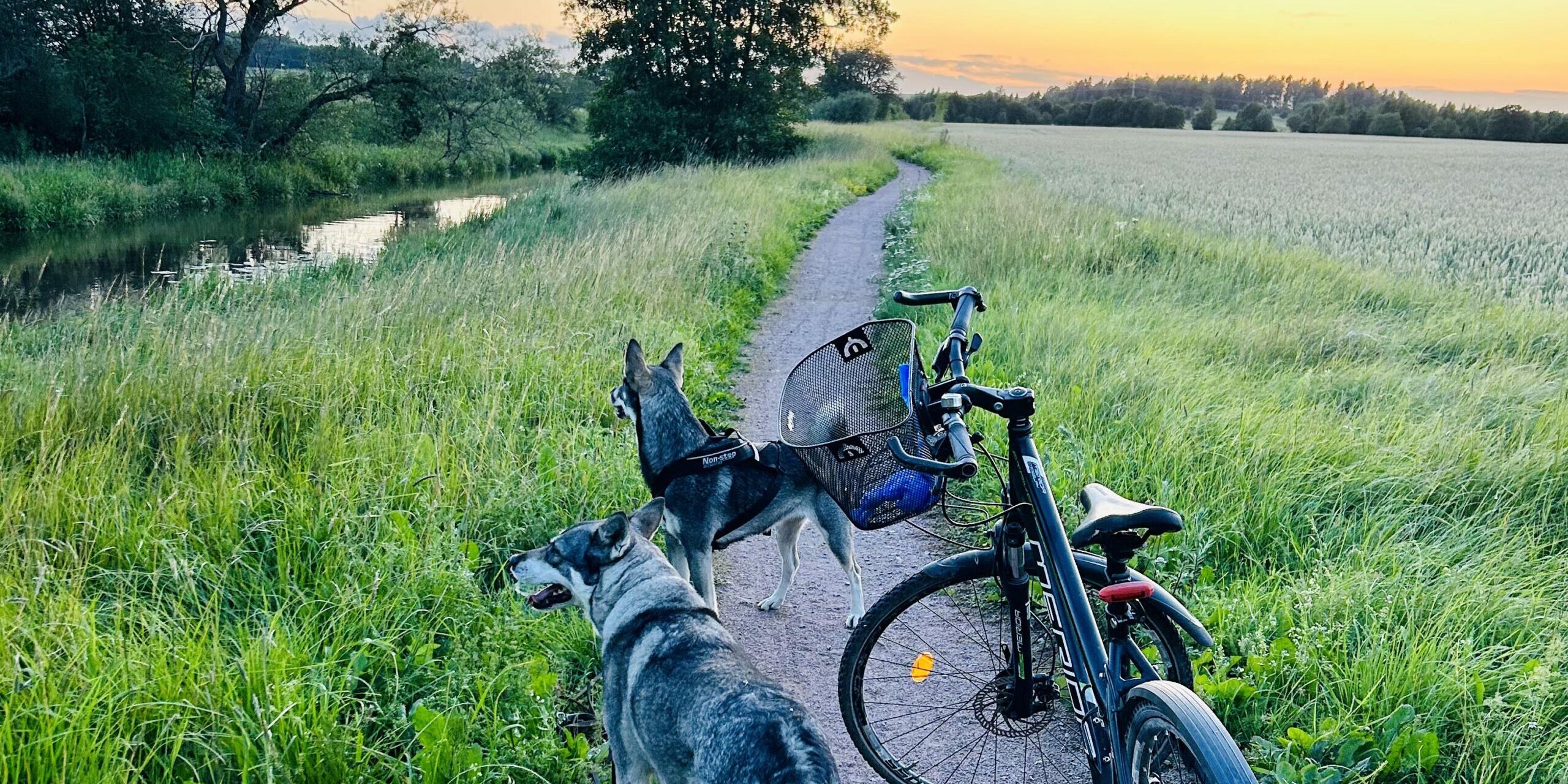 Cykel-sommar_beskuren-scaled-2560×1280