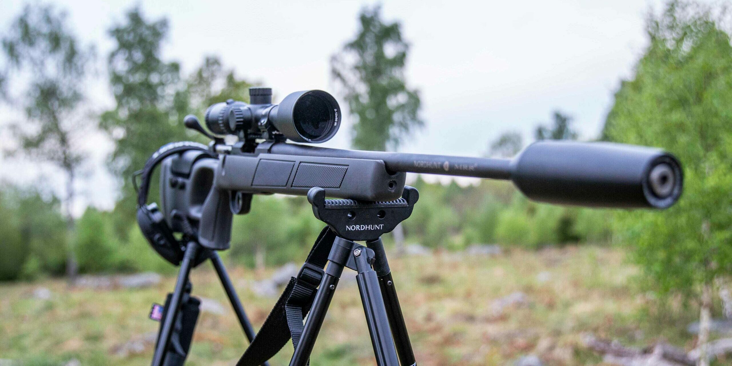 WEBB_Location-1-–-Hagn-5-blandskog-oppet-falt-–-Morgonfotografering_H__6391_tonad-scaled-2560×1280