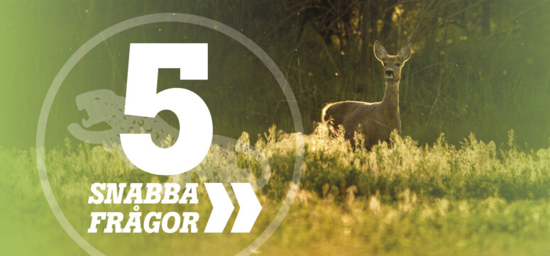 5-snabba-fragor_bilder-till-webb_7