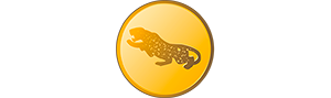 Jaguargruppen.se