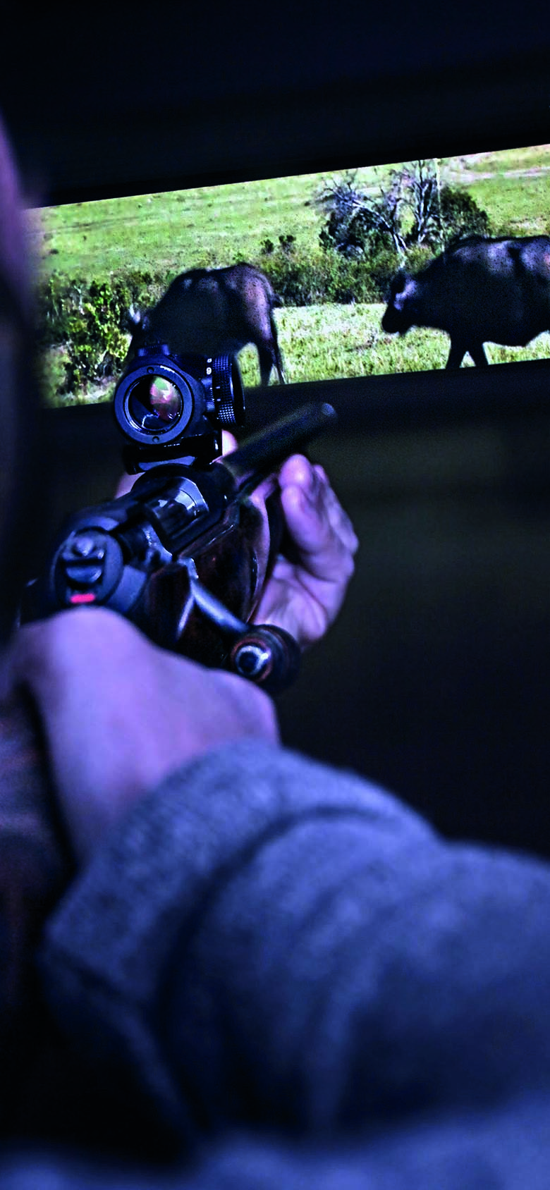 Skjutbiograf-Fritid-Vildmark Person siktar med vapen mot en bioduk