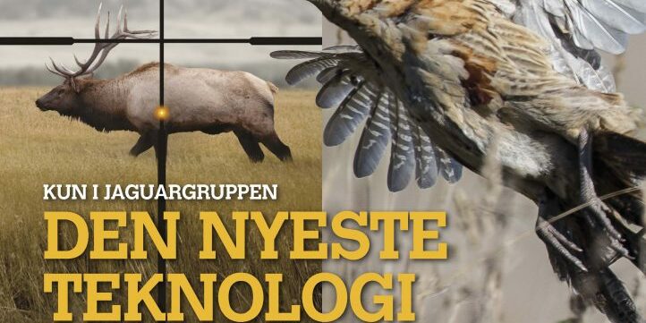 Jaguarmagasinet nr 11