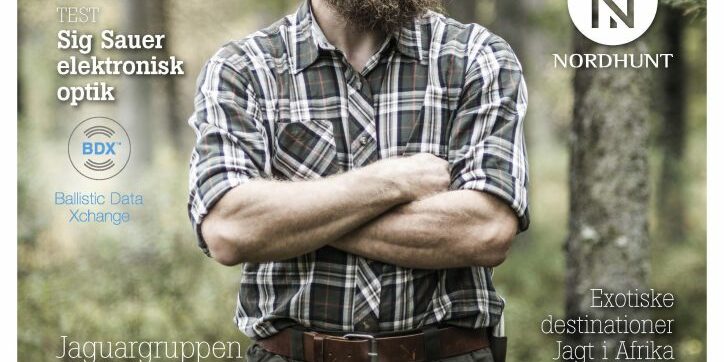 Jagyarnagasinet Nr 13